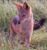 Avatar de l’utilisateur