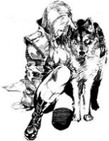 Avatar de l’utilisateur